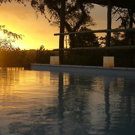 Raices Amambai Lodges Puerto Iguazú Eksteriør billede